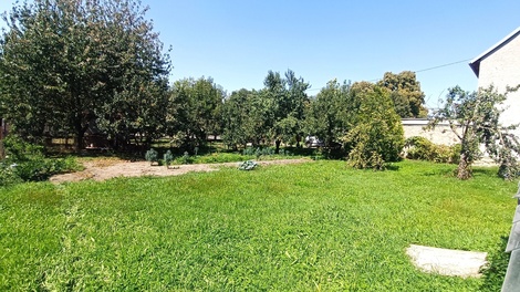 foto05_11370249_26iek.jpg