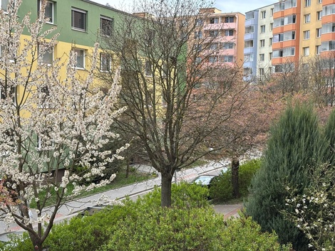 foto05_11479161_2nv2g.jpg