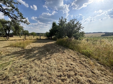 foto05_11517542_8vcsa.jpg