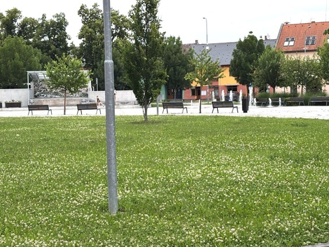 foto05_11542509_6q7sm.jpg