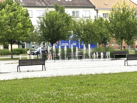 foto05_11542509_84oue.jpg