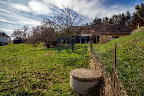 foto15_11494606_69314.jpg