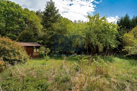 foto15_11497566_17501.jpg