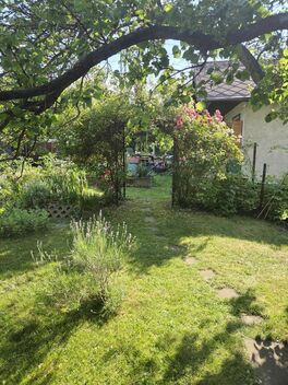 foto13_11567746_30966.jpg