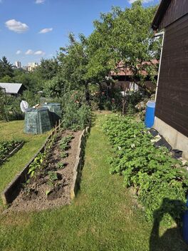 foto13_11567746_59510.jpg