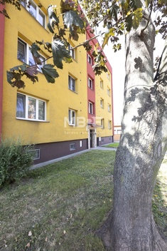 foto05_11323015_j5o0.jpg