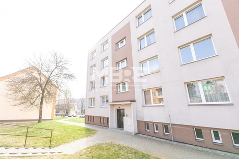 foto05_11564884_7kok2.jpg