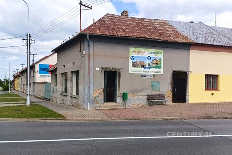 foto04_11340054_j8vzc.jpg