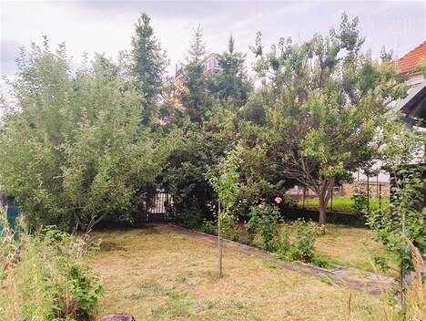 foto04_11360181_zv2uw.jpg