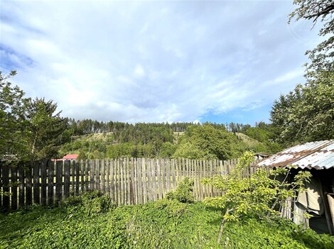 foto04_11364746_zu7x0.jpg