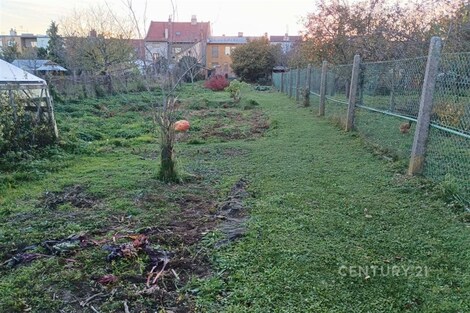foto04_11414291_1bh2e0.jpg