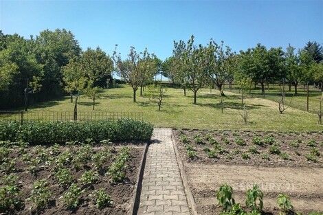 foto04_11484373_6wz70.jpg