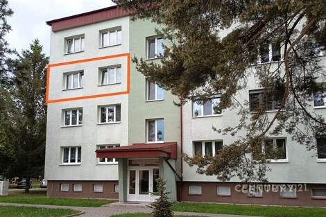 foto04_11495795_auo1k.jpg