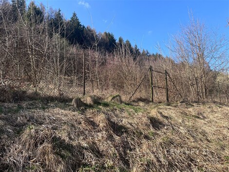 foto04_11501614_3brf4.jpg
