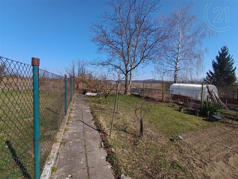 foto04_11526188_1b6pxo.jpg
