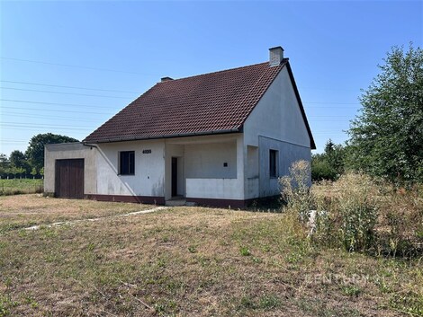 foto04_11538111_1cgtno.jpg