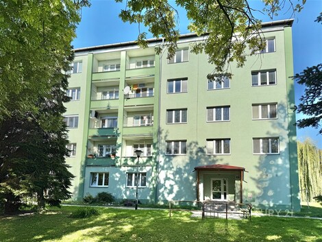 foto04_11566180_10bldo.jpg