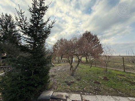 foto04_11244696_17rlls.jpg