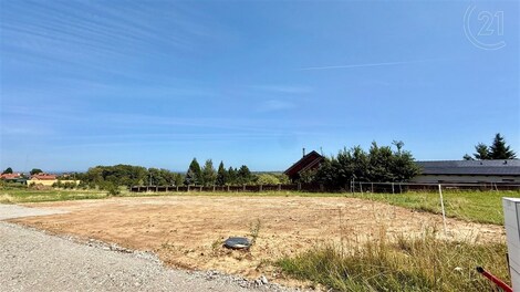 foto04_11323062_3je4.jpg