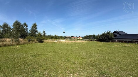 foto04_11365165_171djo.jpg