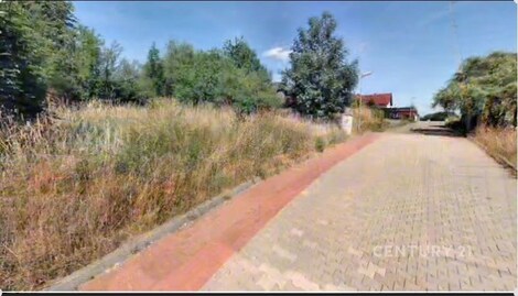 foto04_11444590_1d1iso.jpg