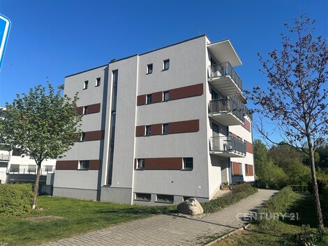 foto04_11489152_1jsde0.jpg