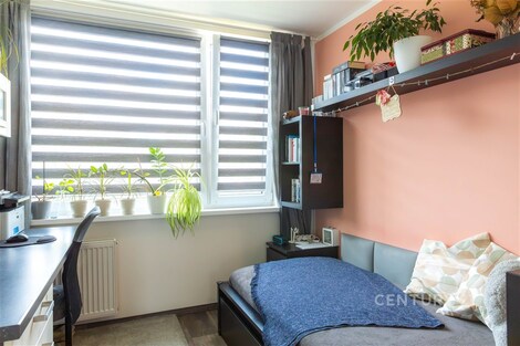 foto04_11550418_6w2k.jpg