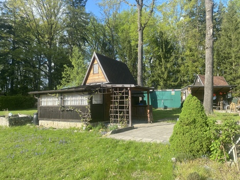 foto05_11262748_4ub94.jpg