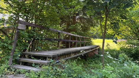 foto05_11340041_5cee.jpg