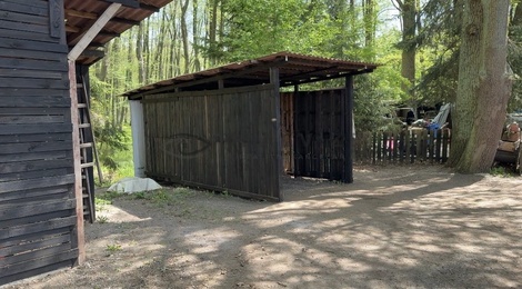foto05_11492430_3m5k6.jpg