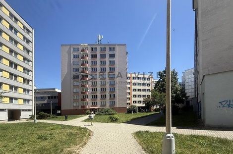 foto05_11503998_11ipe.jpg