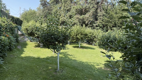 foto05_11519400_5bskk.jpg