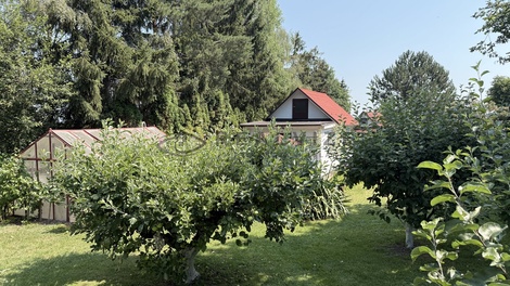 foto05_11519400_gduu.jpg