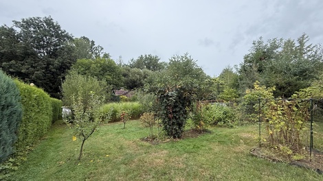 foto05_11550810_1ct36.jpg
