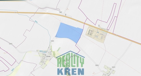 foto05_11351533_2ksbe.jpg