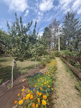 foto05_11526110_63ql4.jpg