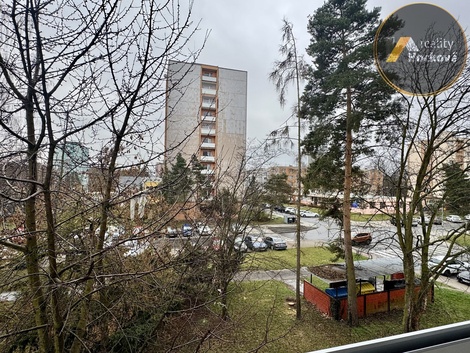 foto05_11463536_771ju.jpg