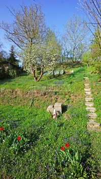 foto05_11302969_5diss.jpg