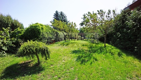 foto05_11347254_7hhj6.jpg
