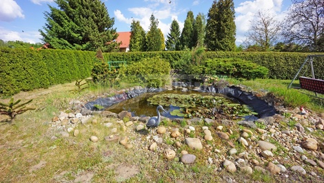 foto05_11443051_8djk2.jpg