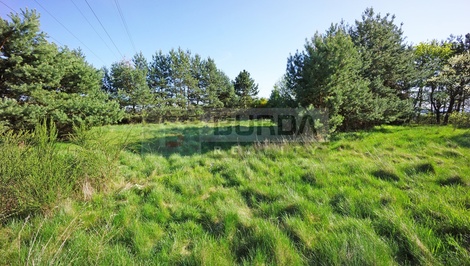 foto05_11485516_1helk.jpg