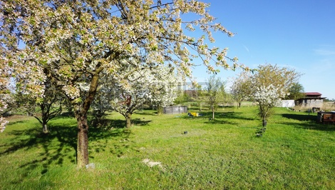foto05_11485516_2jtq8.jpg
