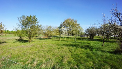 foto05_11485516_31kmu.jpg