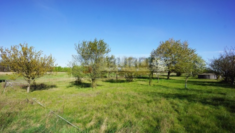 foto05_11485516_7ojrq.jpg