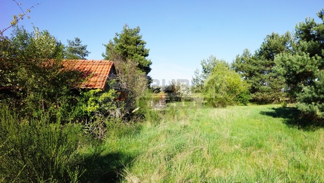 foto05_11485516_7qmbu.jpg