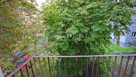 foto05_11527751_4uvig.jpg