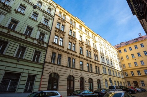 foto04_11252458_ngpkg.jpg