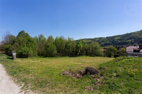 foto04_11313225_so1bg.jpg