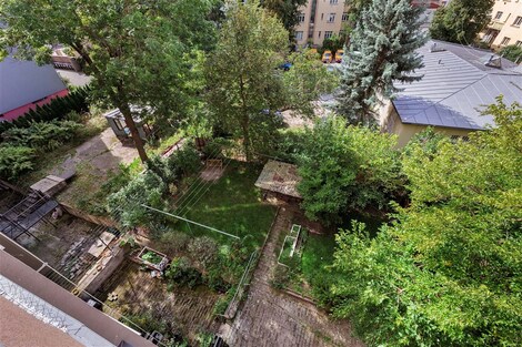 foto04_11384071_glcec.jpg