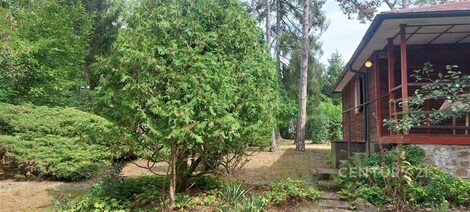 foto04_11547283_pvwx4.jpg